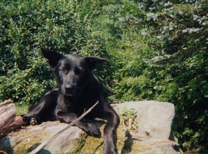 17072003174810nbnu2h52hpuk.jpg