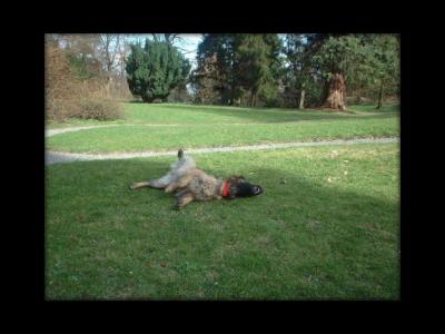 110420041734201ses6wqs4pn3_framed.jpg