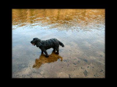 dscf0031_framedsas.jpg