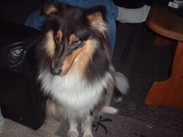dscf0041gfgf.jpg