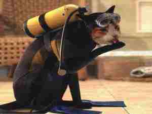 scubacat.jpg